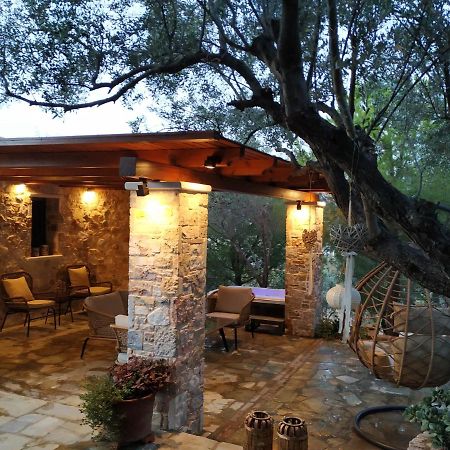 Villa Vena Palaia Fokaia Ngoại thất bức ảnh