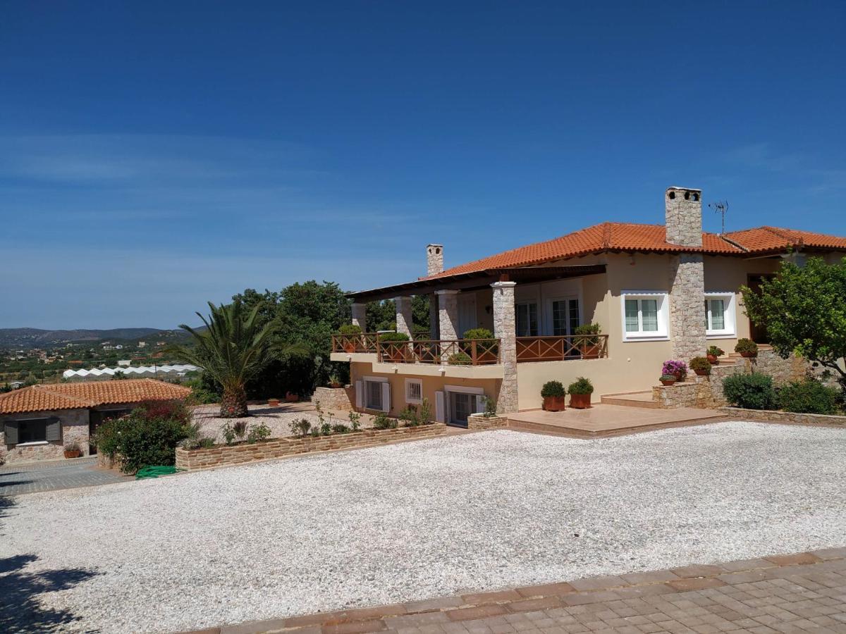 Villa Vena Palaia Fokaia Ngoại thất bức ảnh