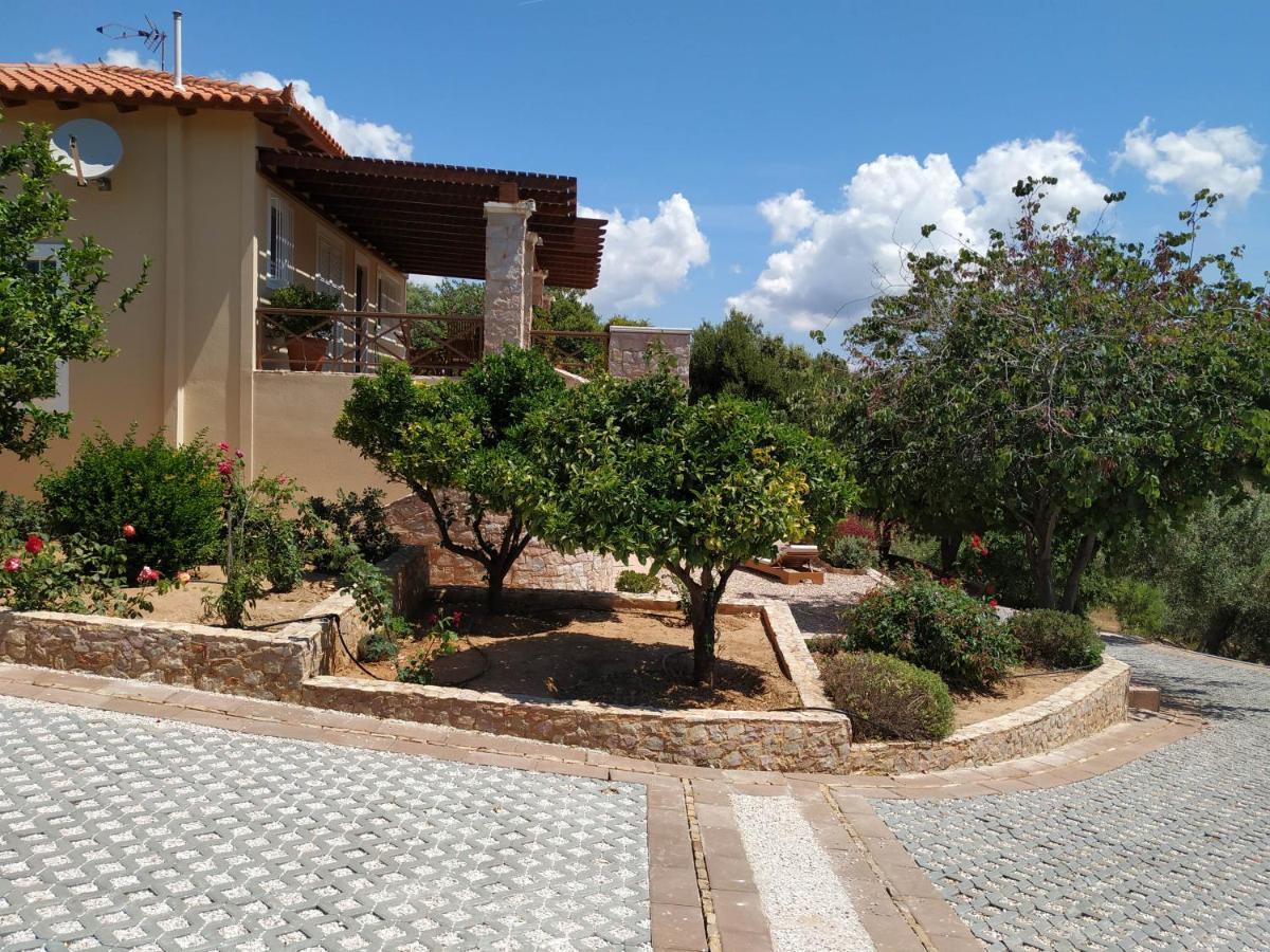Villa Vena Palaia Fokaia Ngoại thất bức ảnh