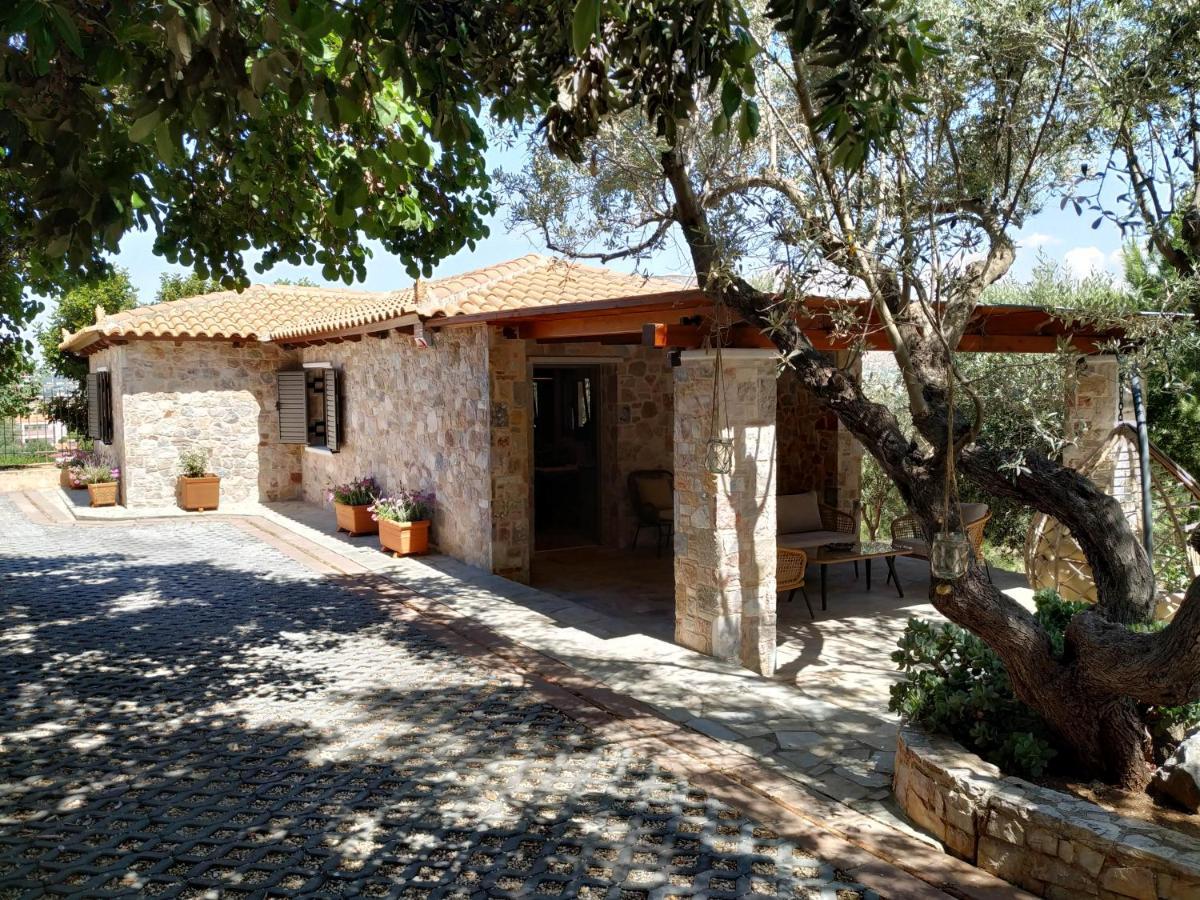 Villa Vena Palaia Fokaia Ngoại thất bức ảnh